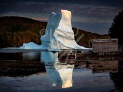 Bridgeport iceberg